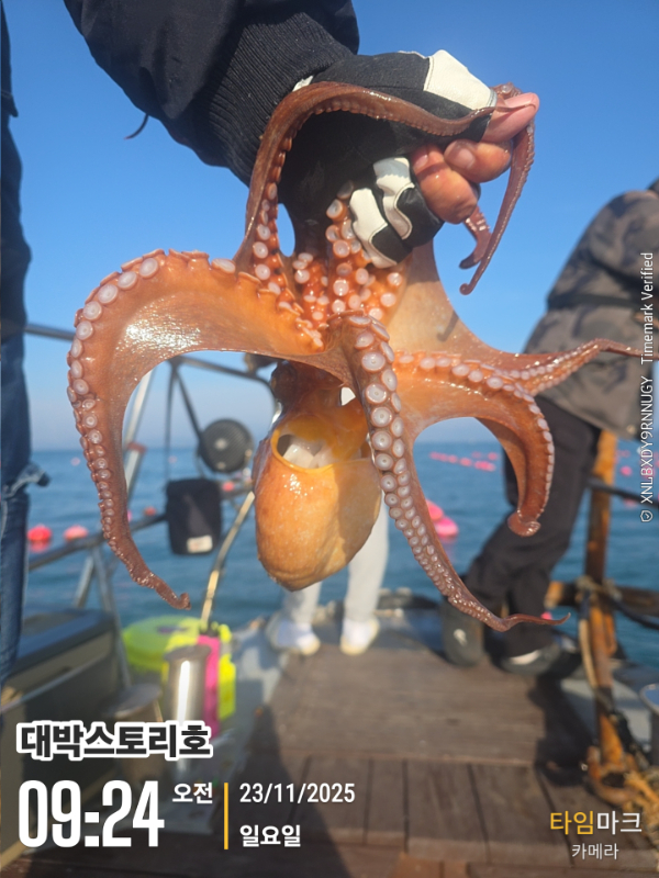 2025-11-23 09.24.06__(대박스토리호).jpg