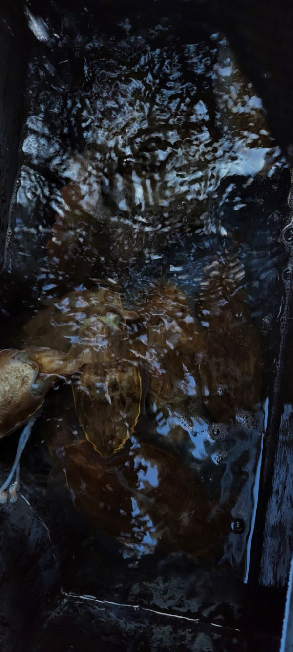 예지퀸호 농어외수질&어초낚시 경기인천권_사진_20251113_11.jpg