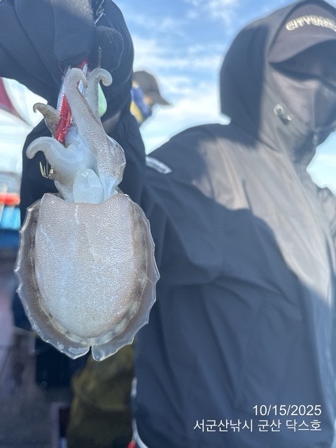 군산 선상낚시, 바다낚시 출조 전문 ☆서군산낚시☆_사진_20251015_12.jpg