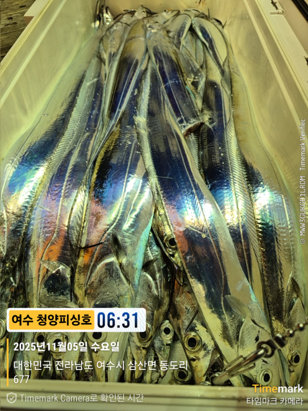 2025-11-05 06.31.10(1)_677, 삼산면_(제목-여수 청양피싱호).jpg