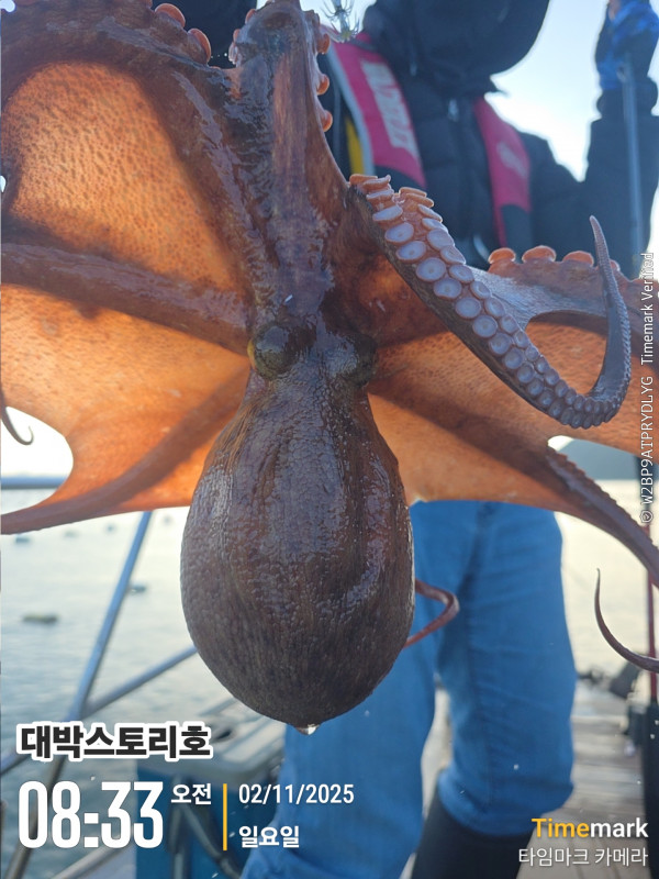 2025-11-02 08.33.25__(대박스토리호).jpg