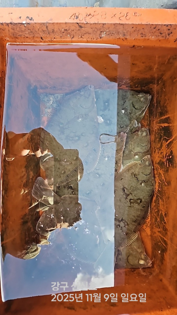 신신낚시 강구점 신신호_사진_20251109_7.jpg