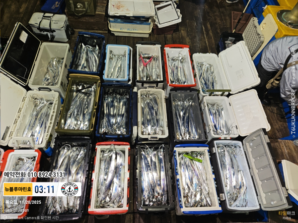 2025-11-20 03.11.34_Japan_(제목-뉴블루마린호)_(예약전화 010 8924 3131).jpg