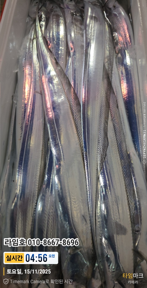 2025-11-15 04.56.53__(제목-실시간)_(라임호 010-8667-8696).jpg