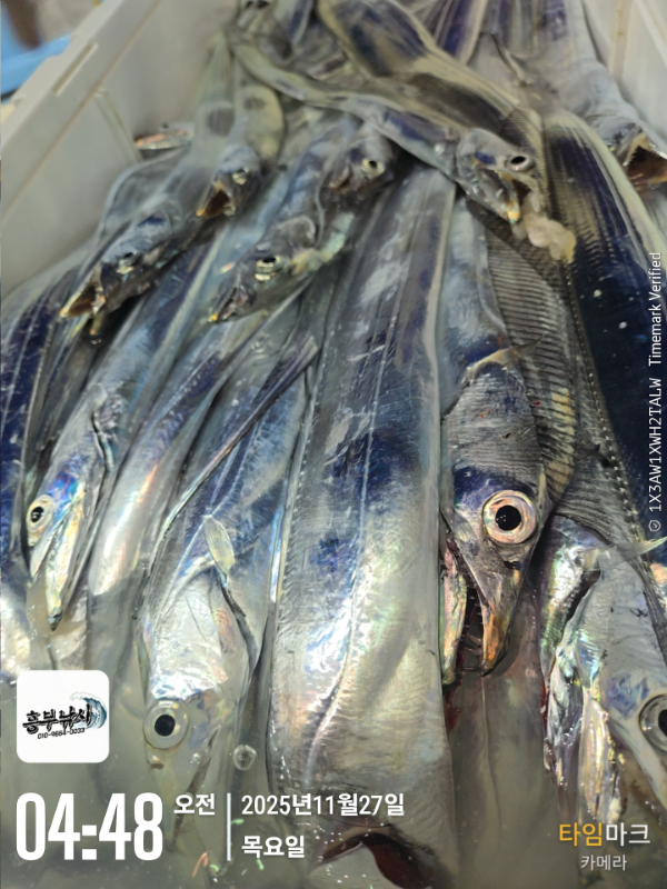 2025-11-27 04.48.52_.jpg