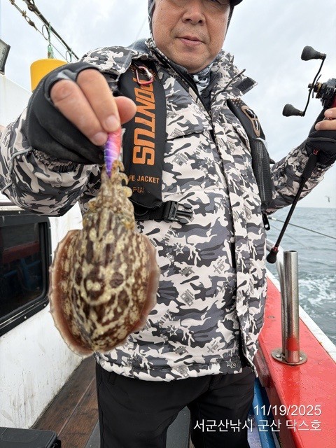 군산 선상낚시, 바다낚시 출조 전문 ☆서군산낚시☆_사진_20251119_18.jpg