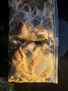 인천쭈꾸미낚시 (11).jpg