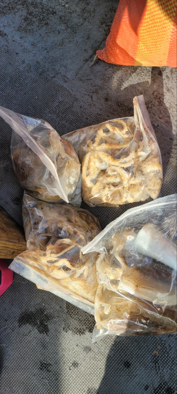 예지퀸호 농어외수질&어초낚시 경기인천권_사진_20251101_6.jpg