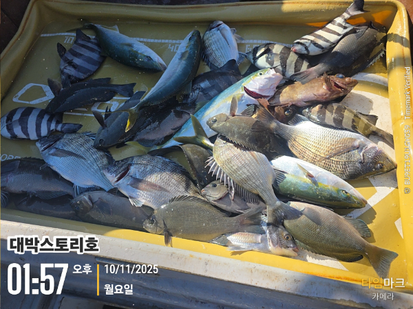 2025-11-10 01.57.38__(대박스토리호).jpg