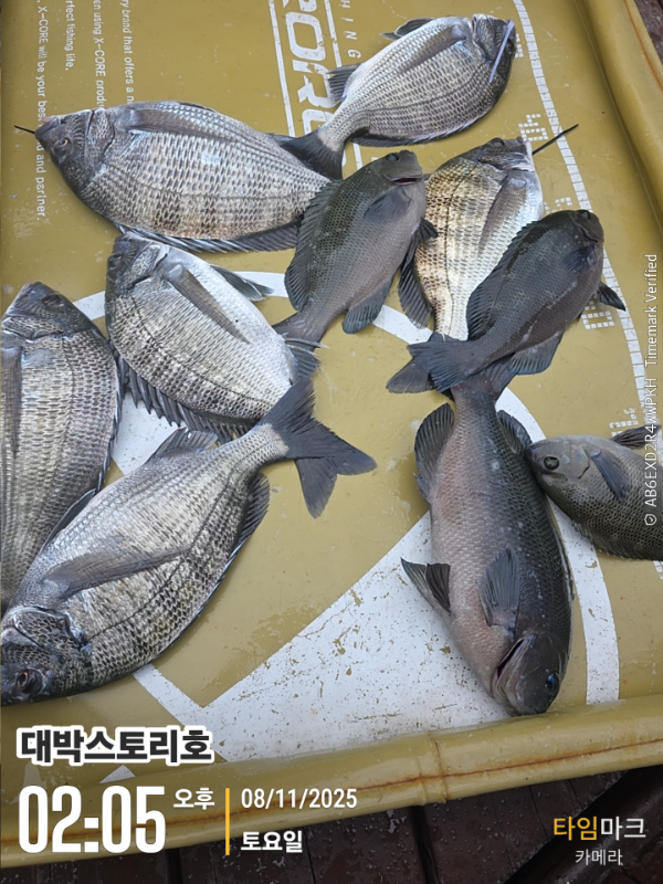 2025-11-08 02.05.30__(대박스토리호).jpg