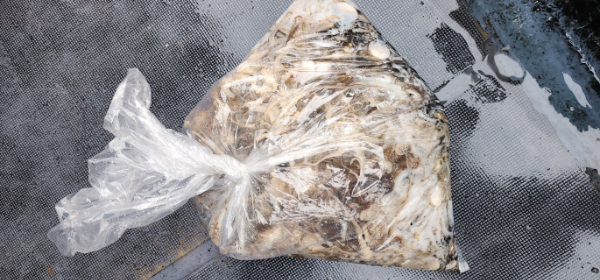 예지퀸호 농어외수질&어초낚시 경기인천권_사진_20251031_13.jpg