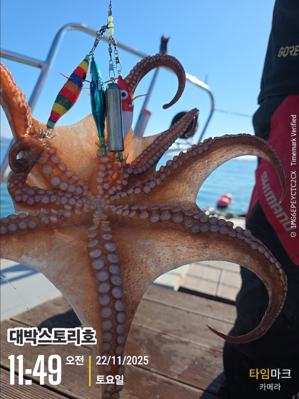 2025-11-22 11.49.10__(대박스토리호).jpg
