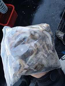 인천쭈꾸미낚시 (6).jpg