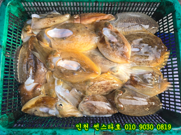 11월06 썬 (18).jpg