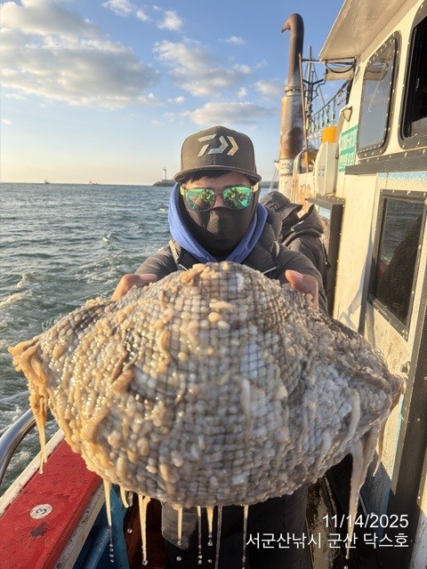 군산 선상낚시, 바다낚시 출조 전문 ☆서군산낚시☆_사진_20251114_12.jpg