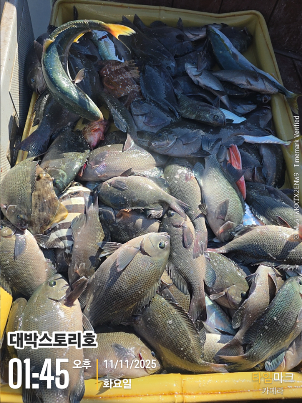 2025-11-11 01.45.43__(대박스토리호).jpg