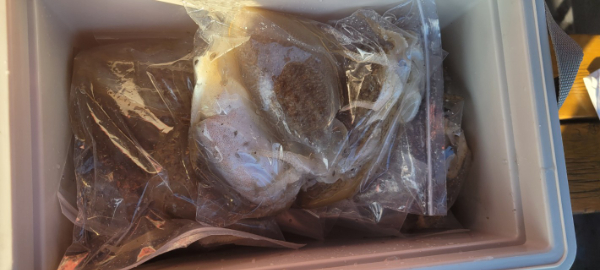 예지퀸호 농어외수질&어초낚시 경기인천권_사진_20251115_17.jpg