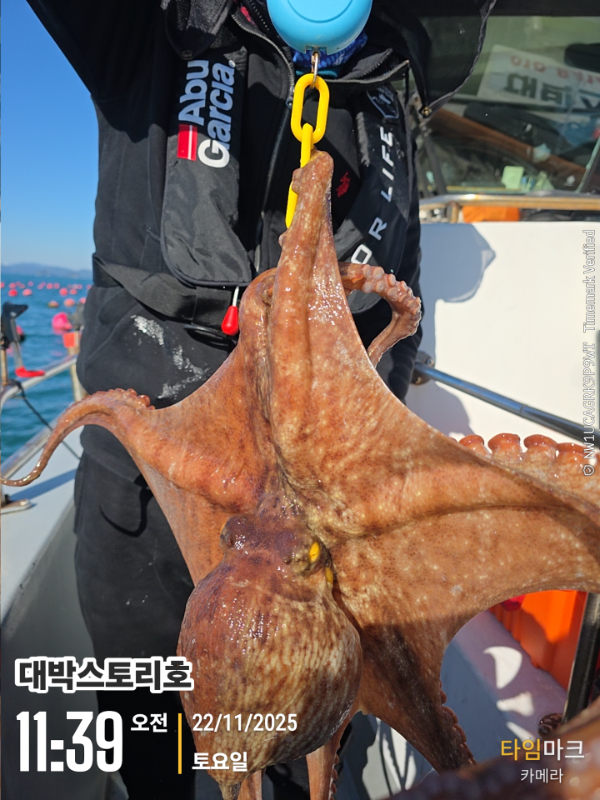 2025-11-22 11.39.40__(대박스토리호).jpg