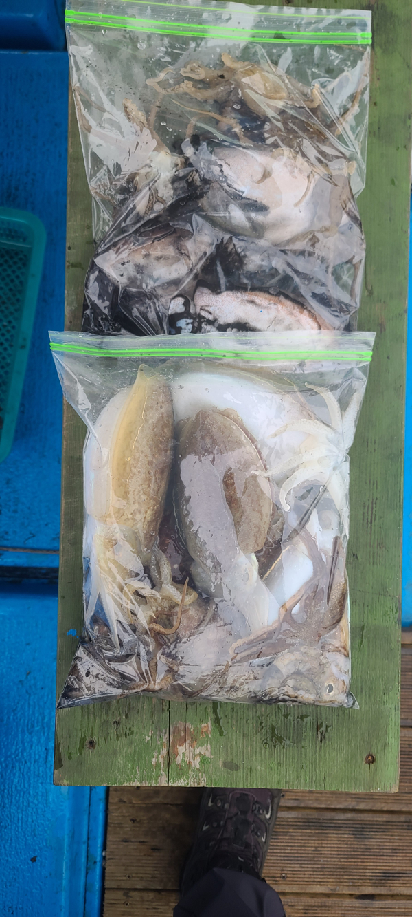 20251031_154403 - 복사본.jpg