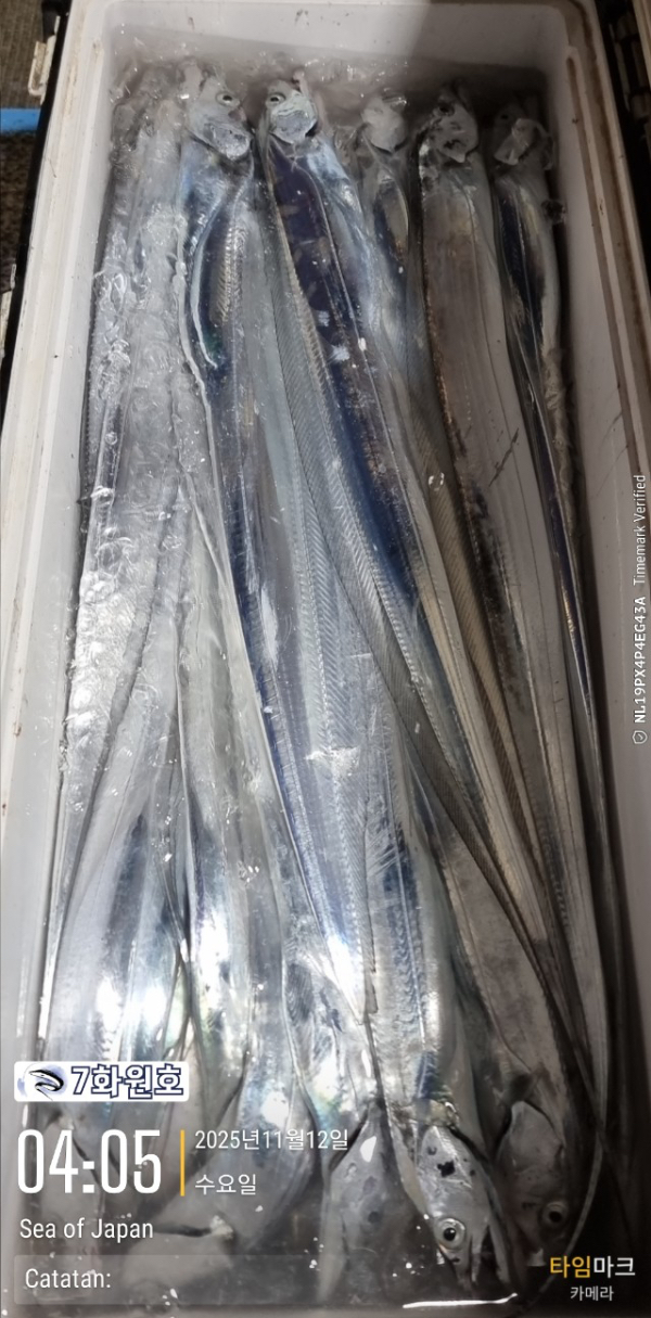 제주갈치낚시 화원호_사진_20251112_6.jpg