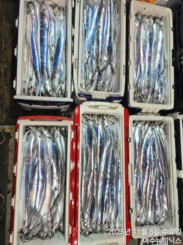 5일왕갈치 (3).jpg