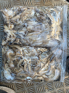 인천쭈꾸미낚시 (5).jpg