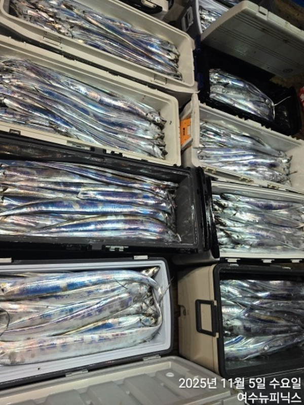 5일왕갈치 (7).jpg