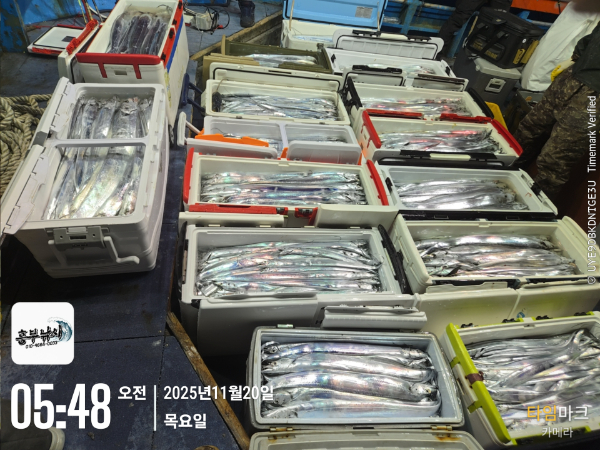 2025-11-20 05.48.40_.jpg