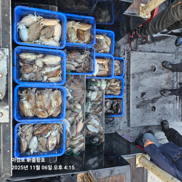 ꫛꫀꪝ✧‧˚ 태안 마검포 新출항호 .• _˚☀₊_사진_20251106_3.jpg