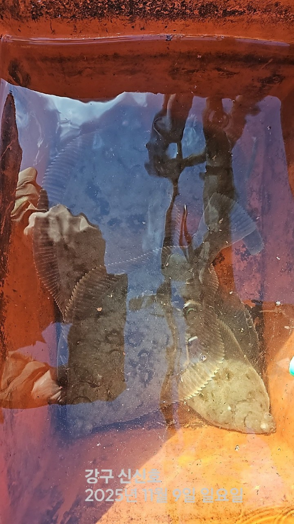 신신낚시 강구점 신신호_사진_20251109_5.jpg