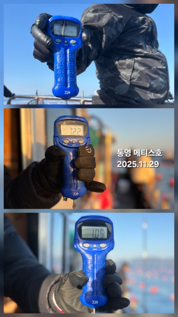 통영 메티스호_사진_20251129_5.jpg