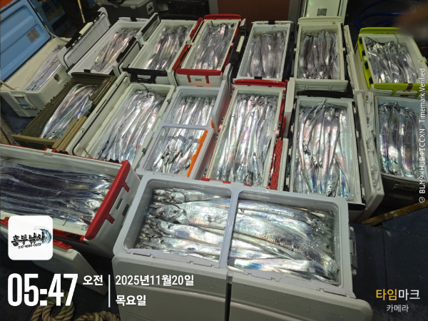 2025-11-20 05.47.38_.jpg