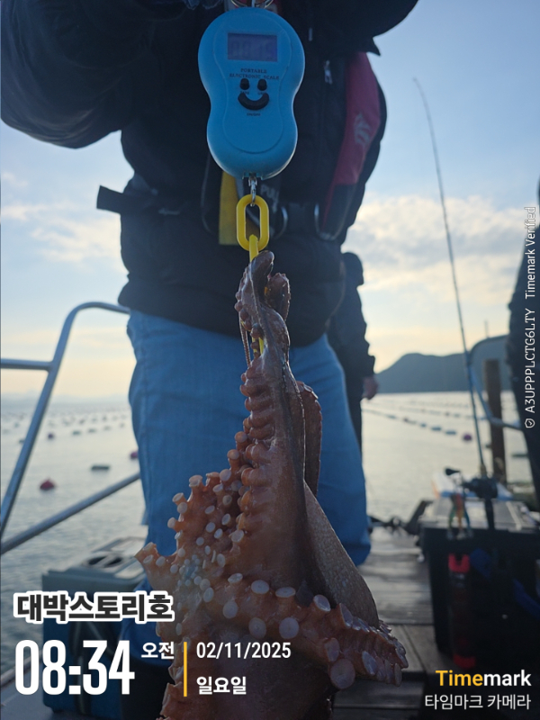 2025-11-02 08.34.15__(대박스토리호).jpg