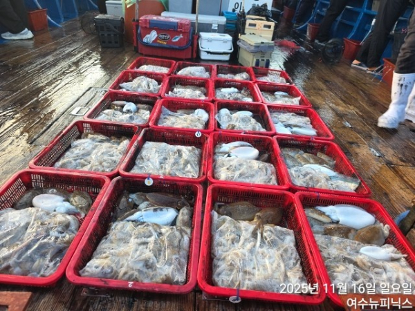 11월16일왕쭈갑 (4).jpg