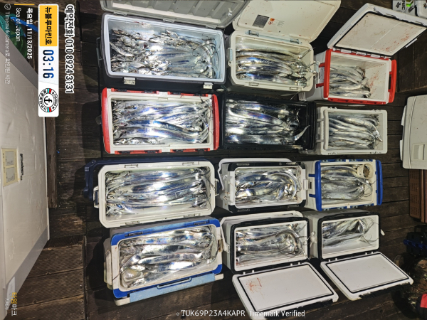 2025-11-13 03.16.21_Japan_(제목-뉴블루마린호)_(예약전화 010 8924 3131).jpg