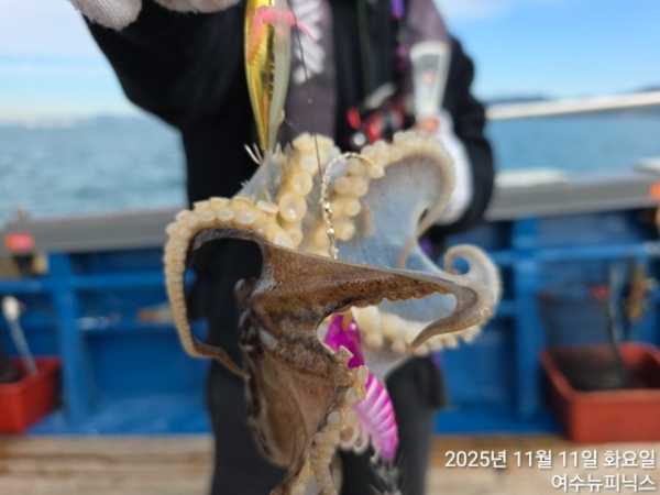 11월11일왕쭈 (9).jpg