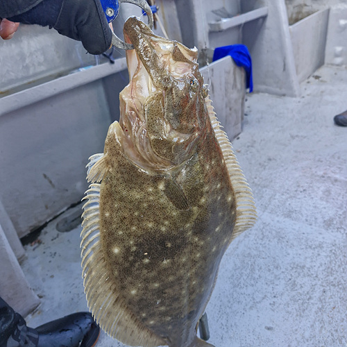 인천바다낚시 (3).jpg