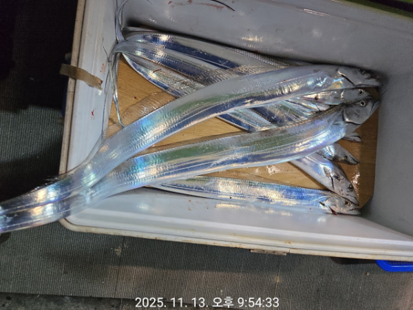 제주선상낚시피닉스호_사진_20251114_4.jpg