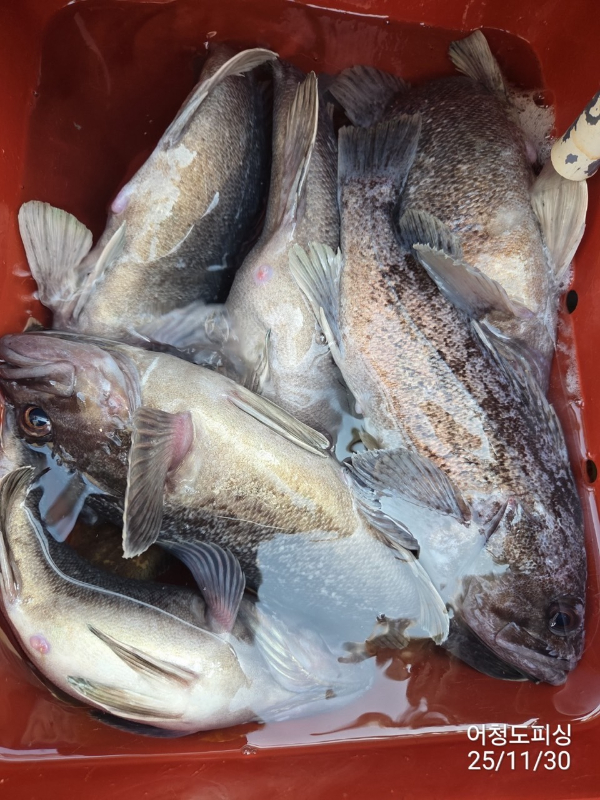 최강피싱 063.463.0800_사진_20251130_20.jpg