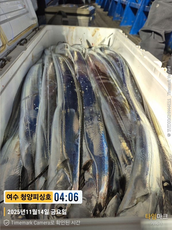 2025-11-14 04.06.47__(제목-여수 청양피싱호).jpg