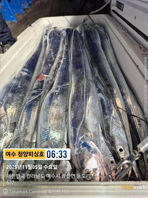 2025-11-05 06.33.08_677, 삼산면_(제목-여수 청양피싱호).jpg