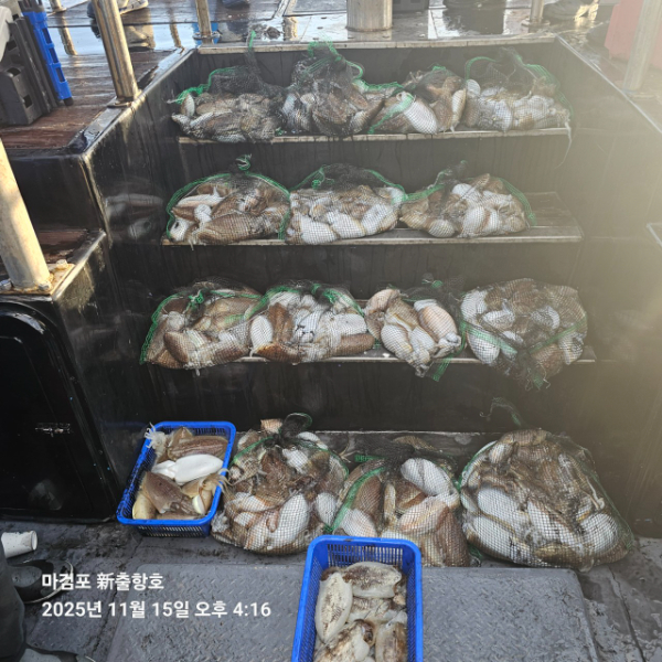 ꫛꫀꪝ✧‧˚ 태안 마검포 新출항호 .• _˚☀₊_사진_20251115_8.jpg