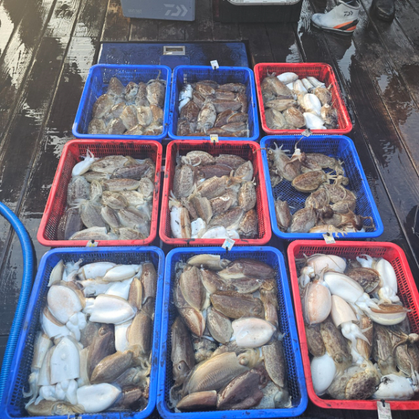 마검포 대한호(VIP)_사진_20251106_3.jpg