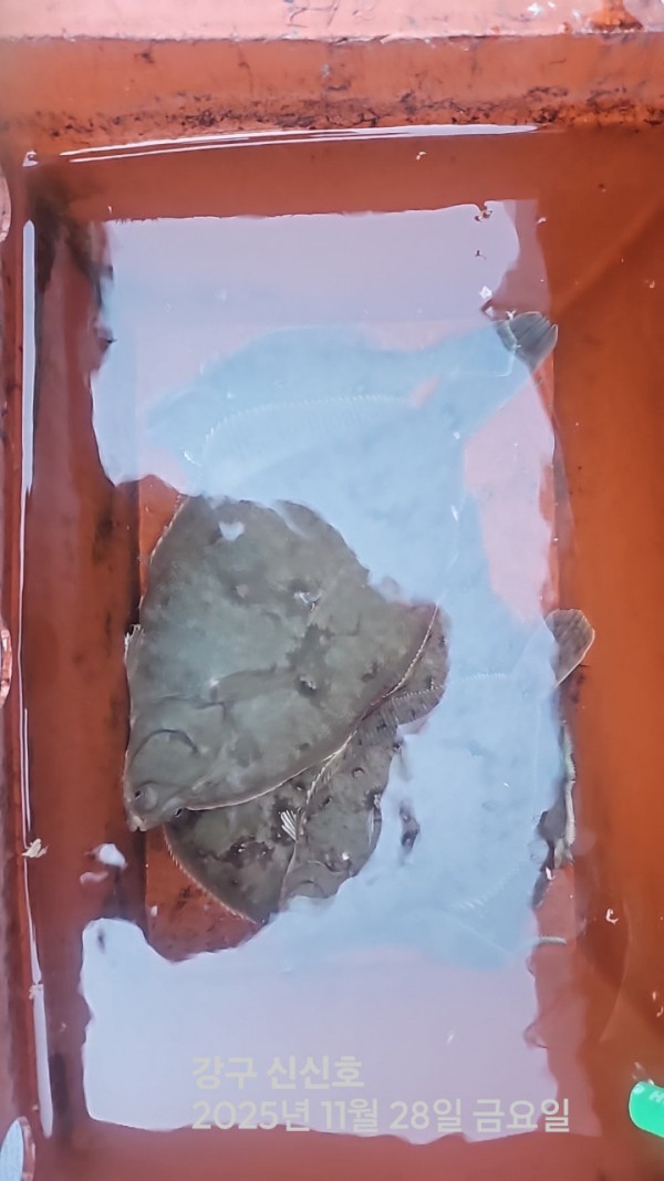 신신낚시 강구점 신신호_사진_20251128_3.jpg