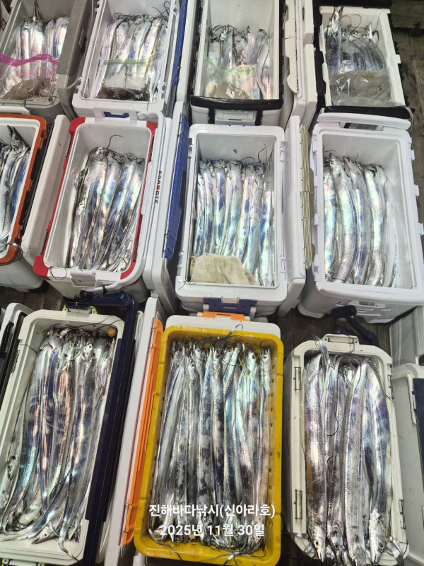 바다꾼낚시(신아라호)_사진_20251130_4.jpg