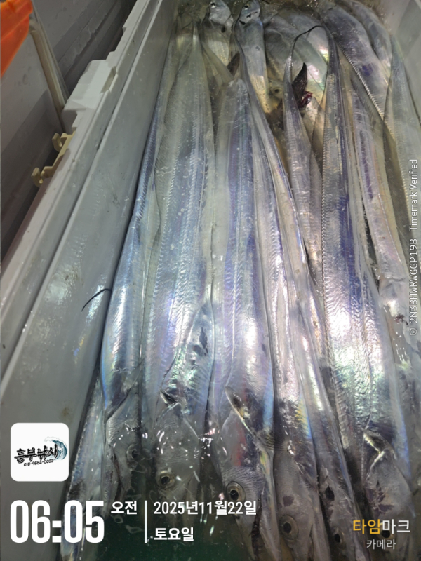 2025-11-22 06.05.38_.jpg