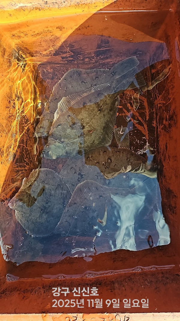 신신낚시 강구점 신신호_사진_20251109_8.jpg