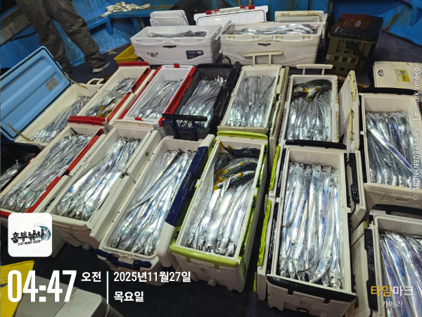 2025-11-27 04.47.51_.jpg