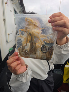 인천쭈꾸미낚시 (16).jpg