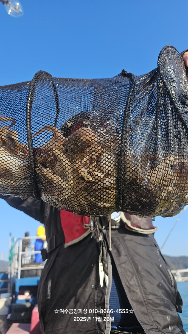 여수금강피싱_사진_20251126_17.jpg